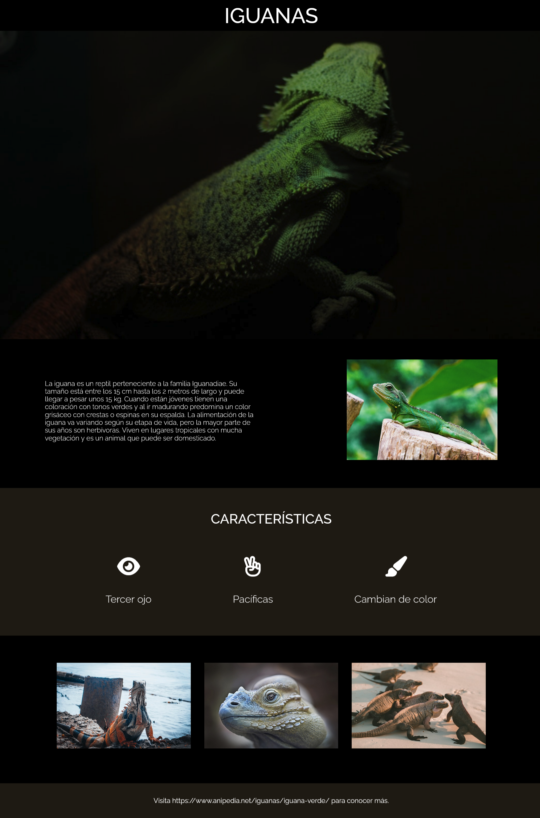 Portada pagina web iTech